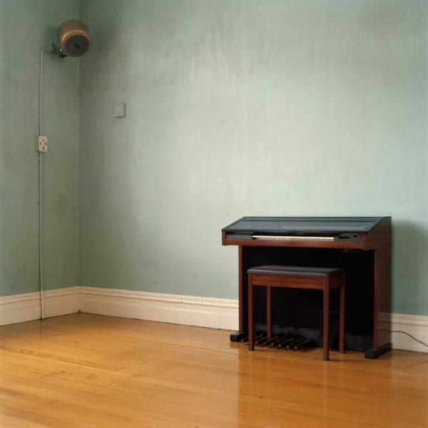 Sam Hartnett, Helensville, 2006