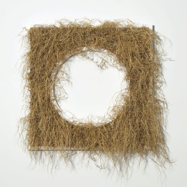 Gill Gatfield, Still Life, 2007