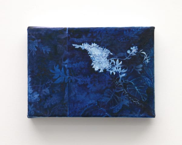 Ashleigh Min White Flower, 2025 acrylic and oil on canvas 120 x 175 mm