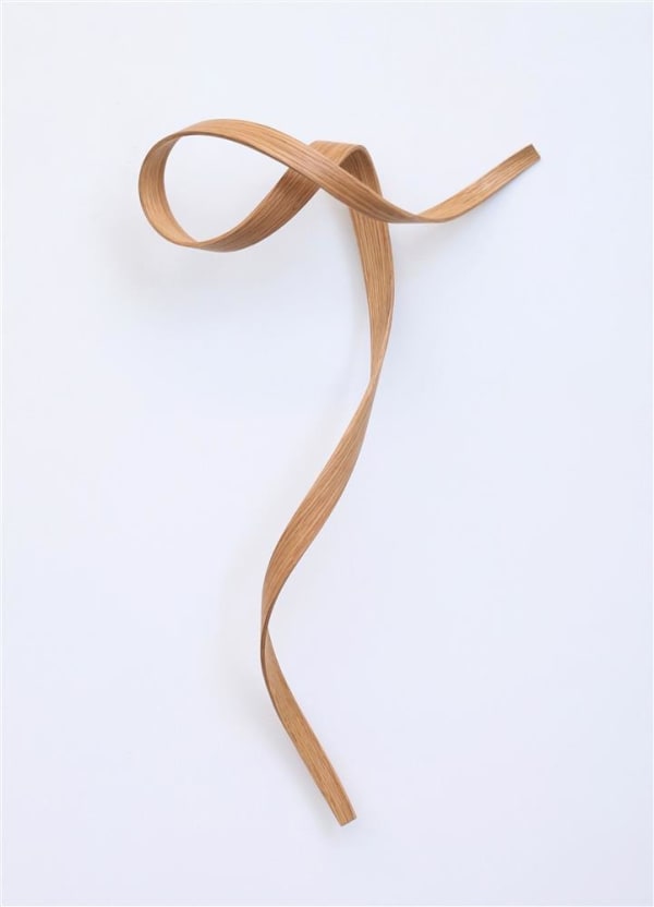 Ray Haydon, Twist VIII, 2024