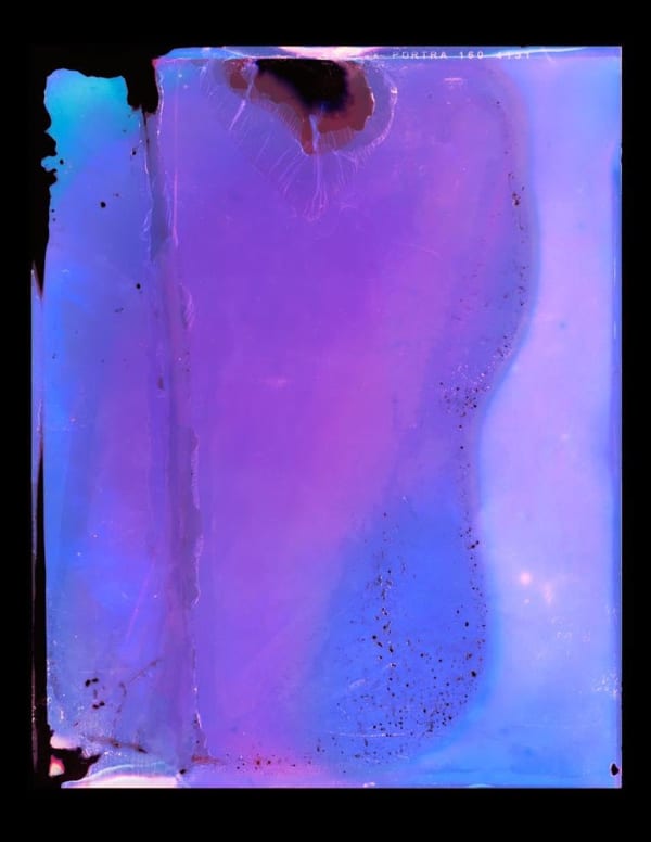 Kate van der Drift Waxing Gibbous to Waxing Crescent, November 2022 III, 37°25'47.4"S 175°30'39.2"E, 2022 Chromogenic Photograph from 4x5” Negative, edition of 5 + 2AP 1450 x 1130 mm