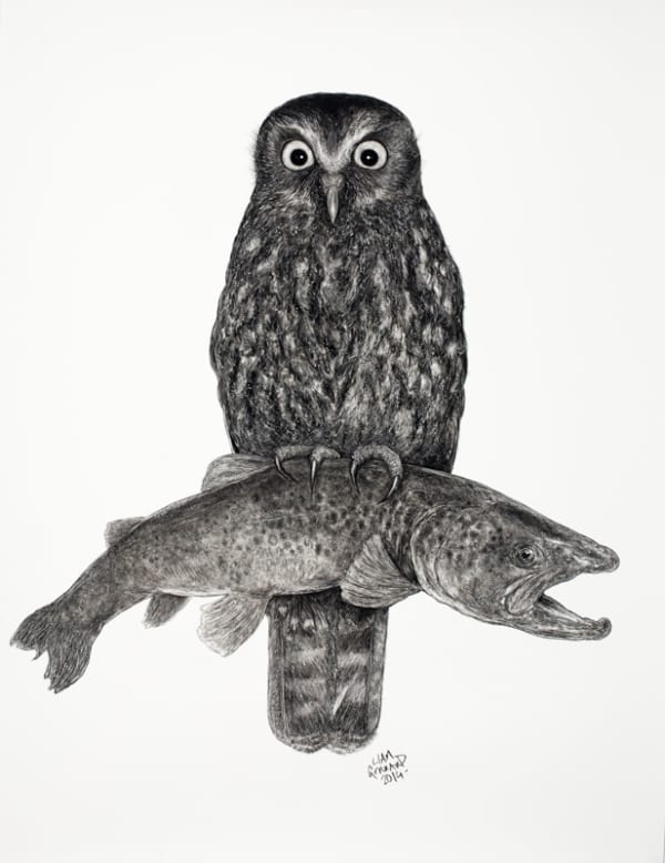 Liam Gerrard Morepork with Trout, 2014 Charcoal on paper 125.0 x 92.0 cm
