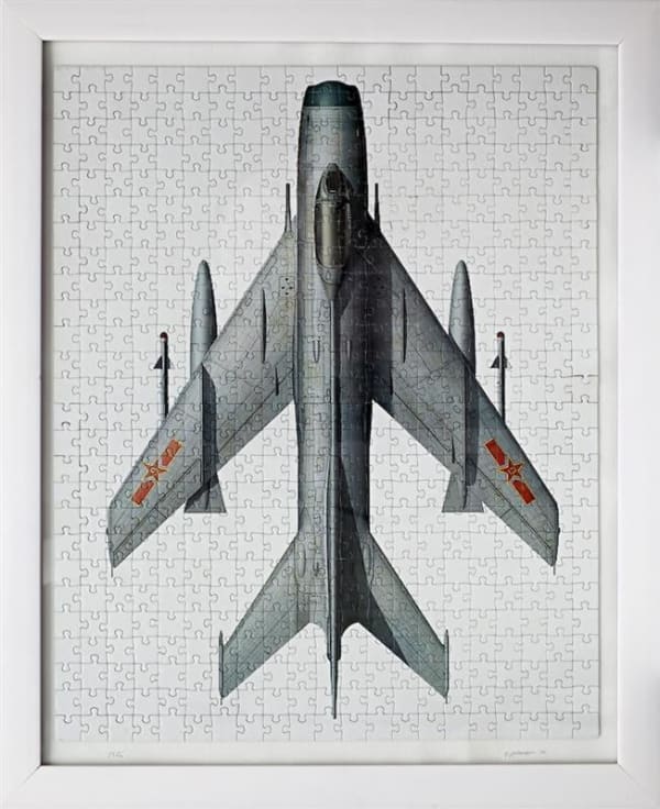 Pj Paterson, Jigsaw (assembled & framed), 2010