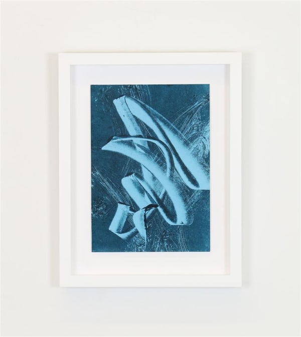 Zara Dolan #98D6F1 - 2 - S/C, 2023 Monotype print on Wet Strength Cartridge paper 410 x 320 mm