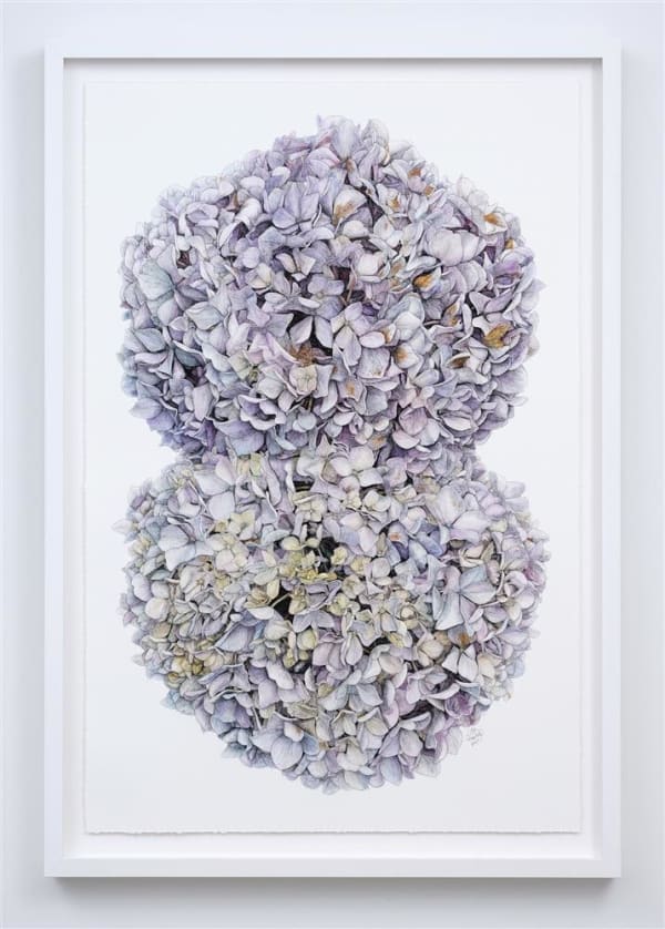 Liam Gerrard Matai Road, Devonport, 2023 charcoal and pastel on paper 1360 x 935 mm