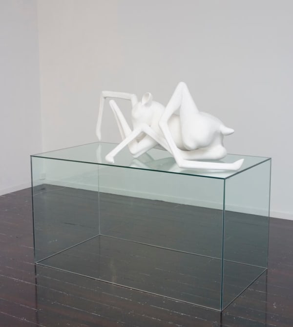 Cat Auburn, David Copperfield, 2007