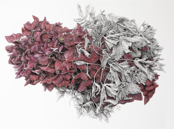 Liam Gerrard Untitled, 2019 pan pastel and charcoal on paper 70.0 x 97.0 cm