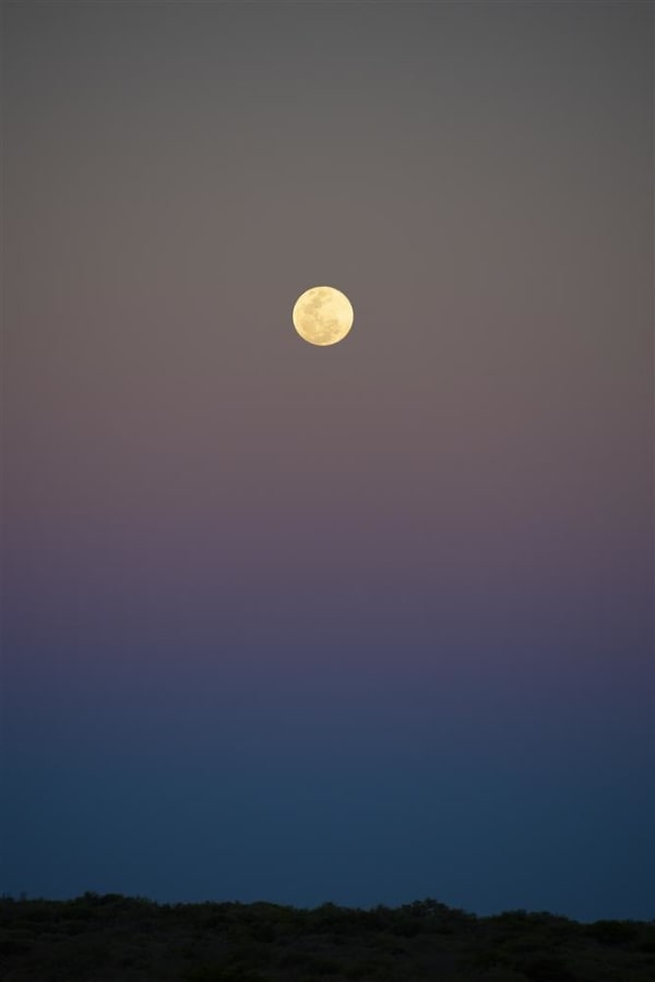 Kate van der Drift Auspices, 2020 Pigment photograph on Ilford Gold Fibre Gloss, Edition of 5 + 1AP 600 x 900 mm