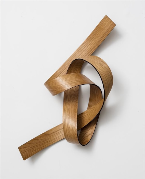 Ray Haydon Knot III, 2016 carbon fibre, timber veneer 350 x 750 x 200 mm