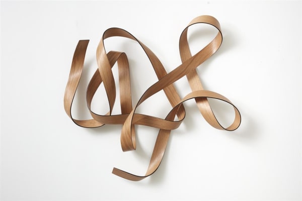 Ray Haydon Manoeuvre VI, 2019 carbon fibre and timber veneer 1100 x 910 mm