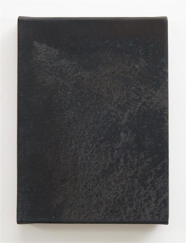Kate van der Drift Nature Writing (Waipa) XIII, 2024 Toned cyanotype on canvas 200 x 150 mm