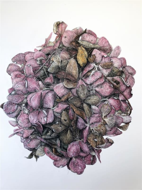 Liam Gerrard Untitled (cobweb), 2019 charcoal on paper on paper 129.4 x 106.4 cm