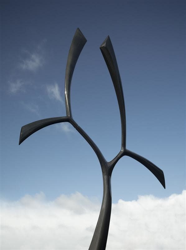 Ray Haydon Vela, 2012 Carbon fibre (edition of 3) 2600 x 2900 x 2900 mm