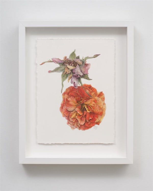 Liam Gerrard Haggerston I, 2023 charcoal and pastel on paper 440 x 350 mm