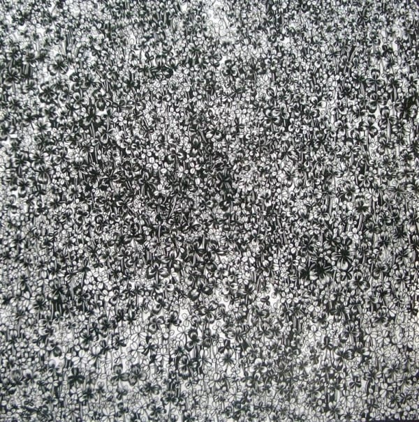 Yoshiko Nakahara, Shirotumekusa - Clover, 2009