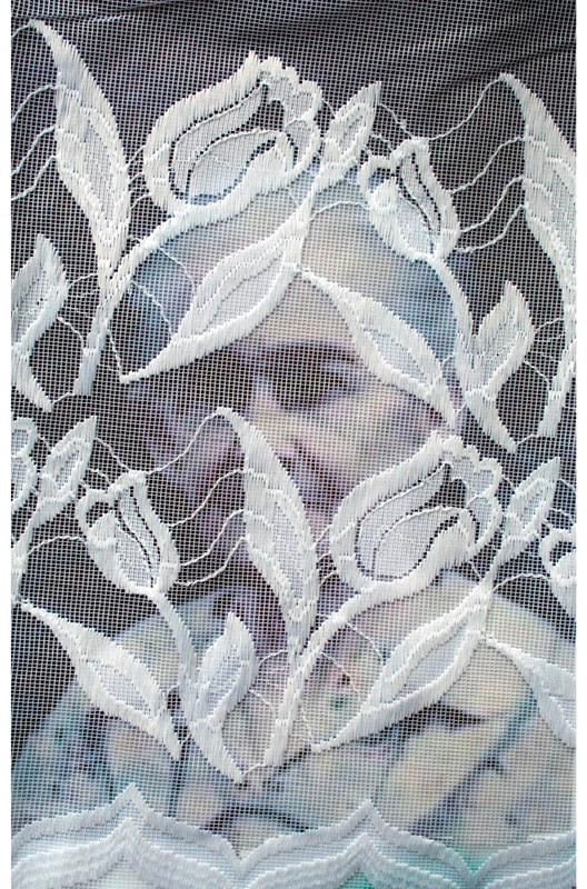 Carole West, Reliquary 1, 2007