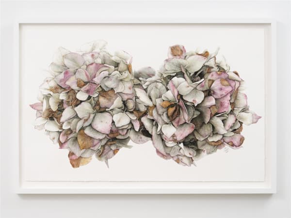 Liam Gerrard Matai Bay Road, Matai Bay, 2024 charcoal and pastel on paper 1020 x 1500 mm