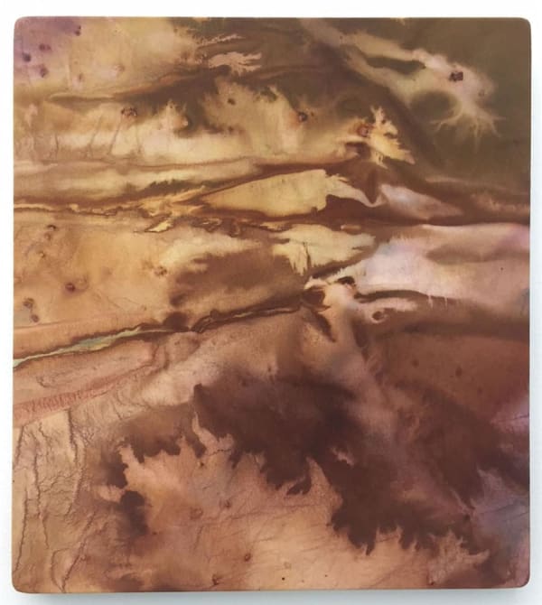 Paris Kirby Kauri Coast, 2018 acrylic on silk 30.0 x 25.0 cm