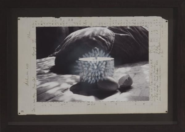 Cruz Jimenez, Yarn of Pearl (study), 2008