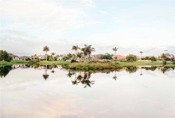 Kate van der Drift Stormwater Reserve, 2016 archival pigment print on matte paper, edition of 5 915 x 1350 mm