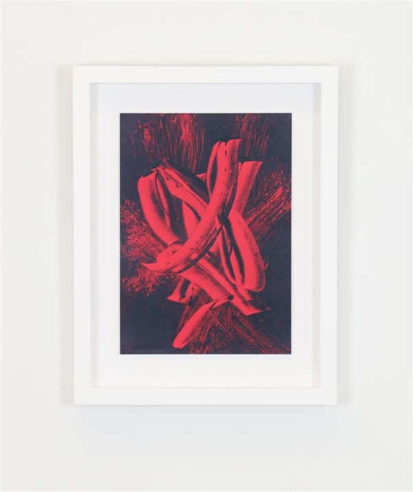 Zara Dolan #F4875 - 2 - S/C, 2023 Monotype print on Wet Strength Cartridge paper 410 x 320 mm