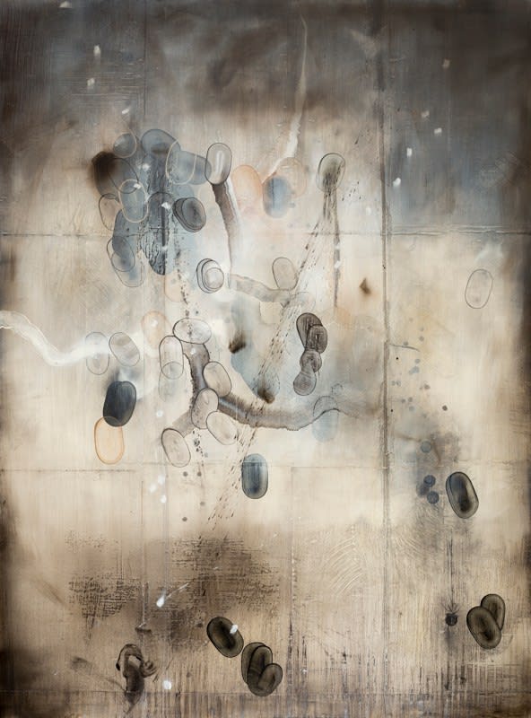 Cruz Jimenez, Swiftly, 2013