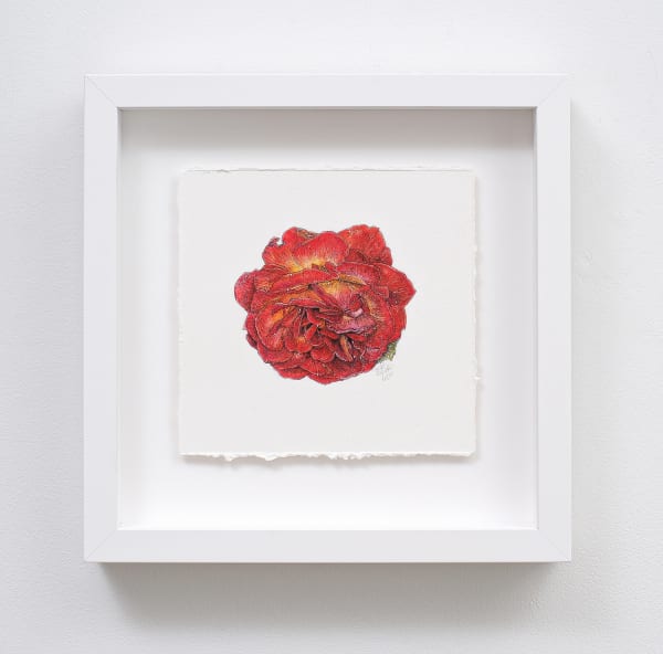 Liam Gerrard Haggerston V, 2023 charcoal and pastel on paper 285 x 285 mm