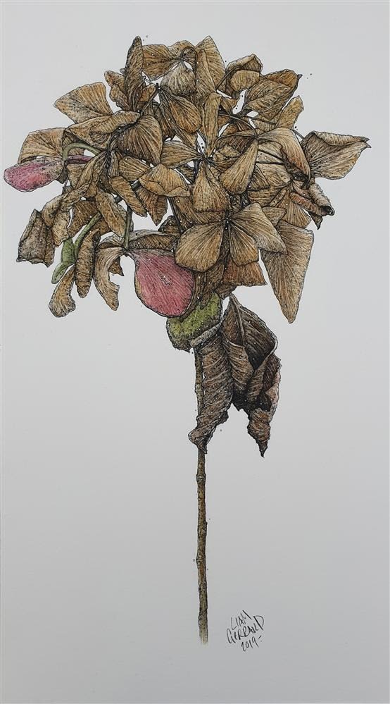 Liam Gerrard Untitled (brown), 2019 charcoal and pan pastel on paper 54.0 x 30.0 cm