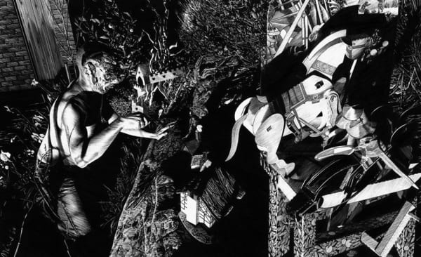 Matt Coyle Garden Bed, 2008 Ink on paper 35.0 x 48.0 cm