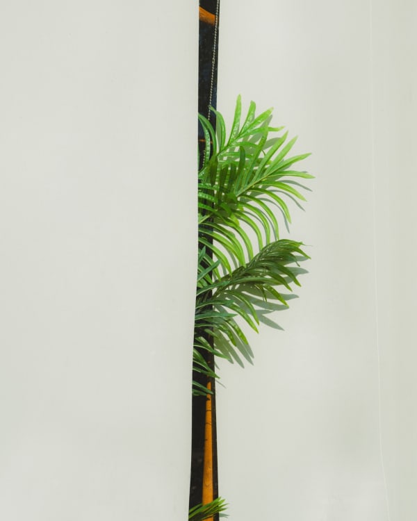 Scott Cai, Newton Rd, 2024