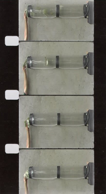 Tom Turner, Moneypump in the Workplace, 2009