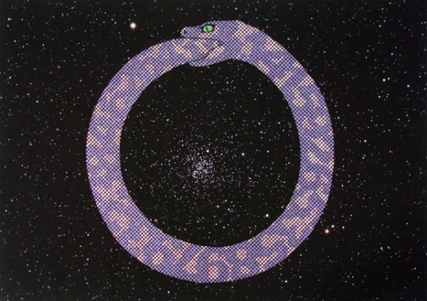 James R Ford Snake Pi Cycle (Alethinophidia Glitterati), 2012 Paint pen on archival digital print 42.0 x 59.5 cm