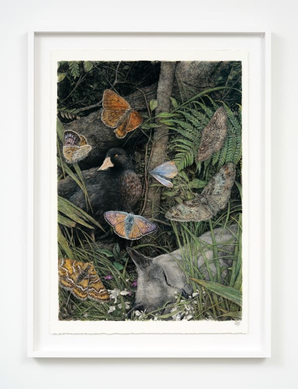 Liam Gerrard Sottobosco I (Susu), 2025 charcoal & pastel on paper 810 x 1120 mm, framed