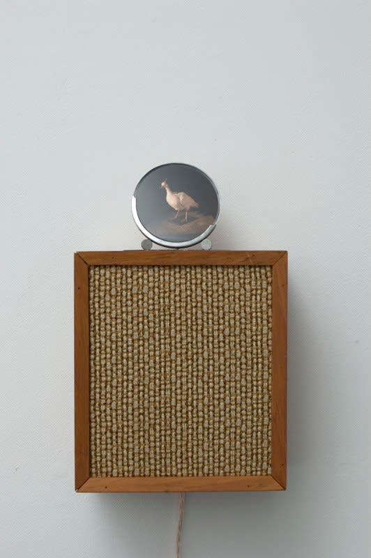 Caryline Boreham, Peahen, 2006