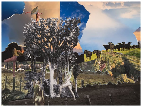 Teresa Hr Lane Wood Protector, 2021 photography & mixed media collage 75.0 x 100.0 cm