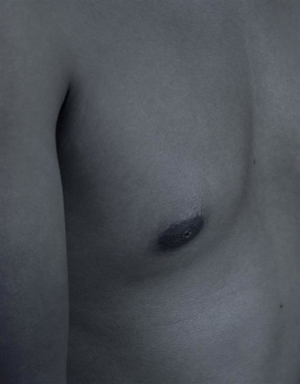 Meighan Ellis Torso, 2017 archival pigment print on Iliford Galerie gold fibre silk, edition of 5 490 x 383 mm