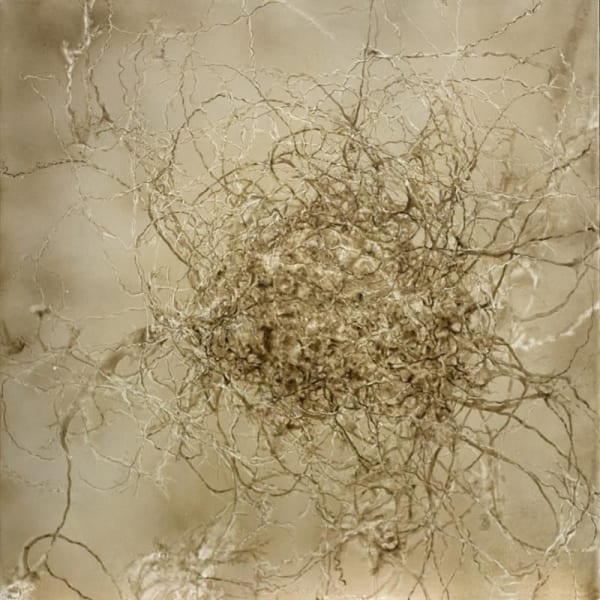 Anita Levering, 649 - Writhing mass, 2016