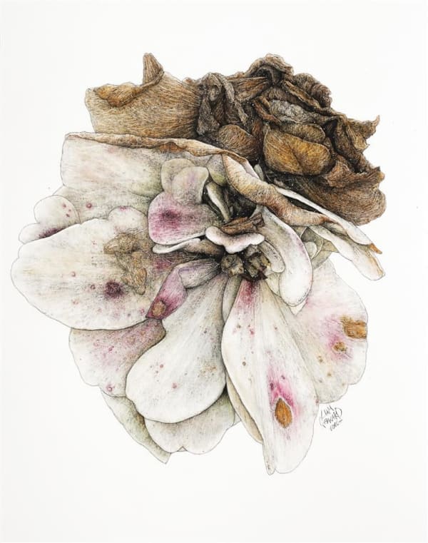 Liam Gerrard Orua Bay, Manukau Heads, 2022 charcoal and pastel on paper 700 x 585 mm