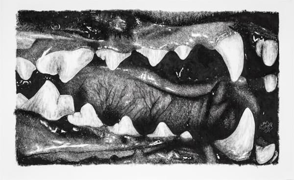 Liam Gerrard Gums, Tongue & Teeth #1, 2012 Charcoal on paper 81.5 x 130.0 cm