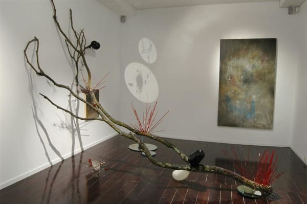 Cruz Jimenez, Sillum, installation view, 2007