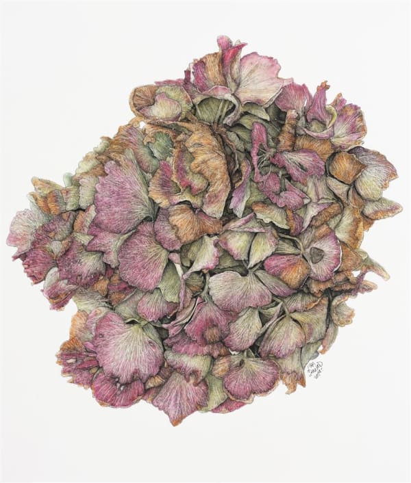 Liam Gerrard Totara Road, Whenuapai, 2022 charcoal and pastel on paper 755 x 655 mm