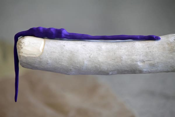 Josephine Cachemaille Diviner and Minder I, 2016 driftwood, polymer clay, 24 carat gold