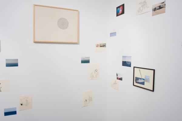 Andrew De Freitas, R O O T / C A N A L, 2009