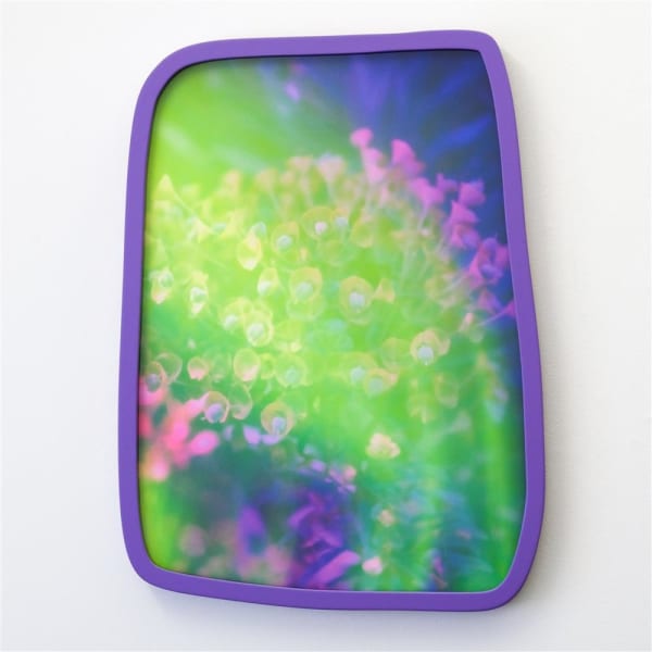 Petra Scheuber Dreamland N°16: Visit of Aurora, 2021 Archival Pigment Ink Print on Hahnemühle German Etching, Organically-shaped frame violet, edition of 3 + 1 AP 51.0 x 38.0 cm