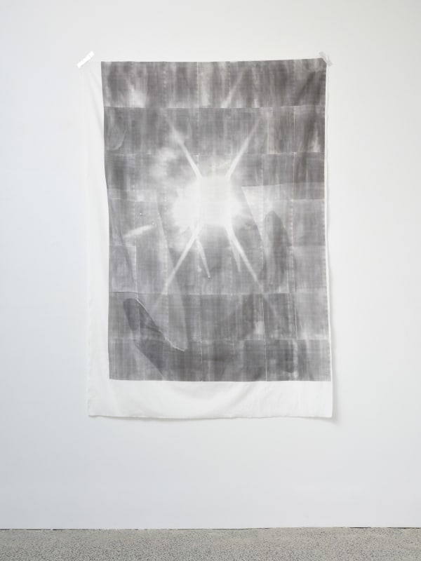 Emily Brown Solar Flare, taste of skin, 2024 Toner on cotton-silk 1370 x 2040 mm