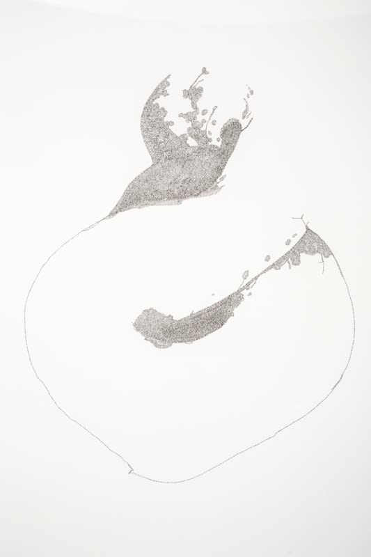 Clare Kim Untitled (Snake) detail, 2013 Handwritten text in ink on paper 74.0 x 56.0 cm