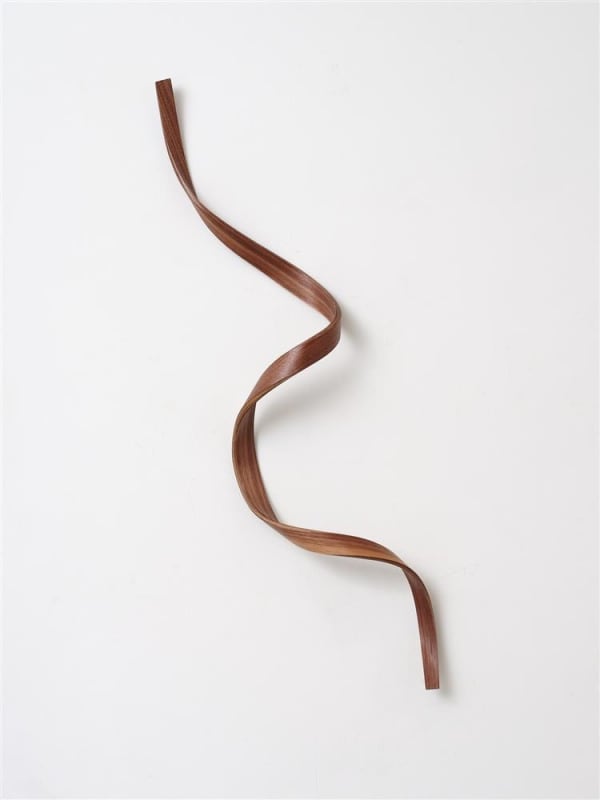 Ray Haydon, Twist IV, 2023