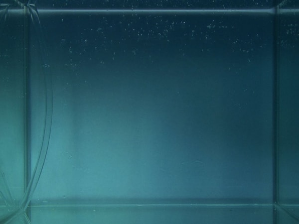 Karena Way, Paradise, video still, 2009