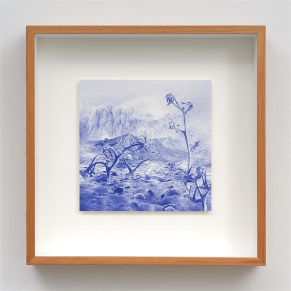 Stephen Ellis Unfolding 6, 2022 coloured pencil on Lana paper 530 x 530 x 85 mm