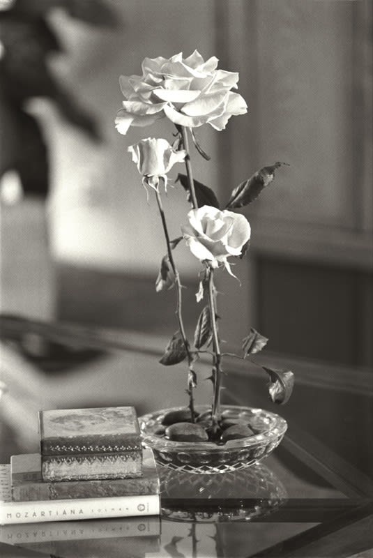 Cruz Jimenez, Frail Duration II, 2008